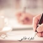 صورة شقراء زيد الطالبي