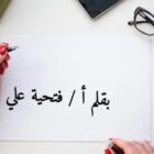 صورة فتحية علي