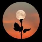 صورة مريم فرح الدين