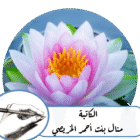 صورة منال بنت أحمد الخريصي