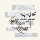 صورة عريب اسامة محمد